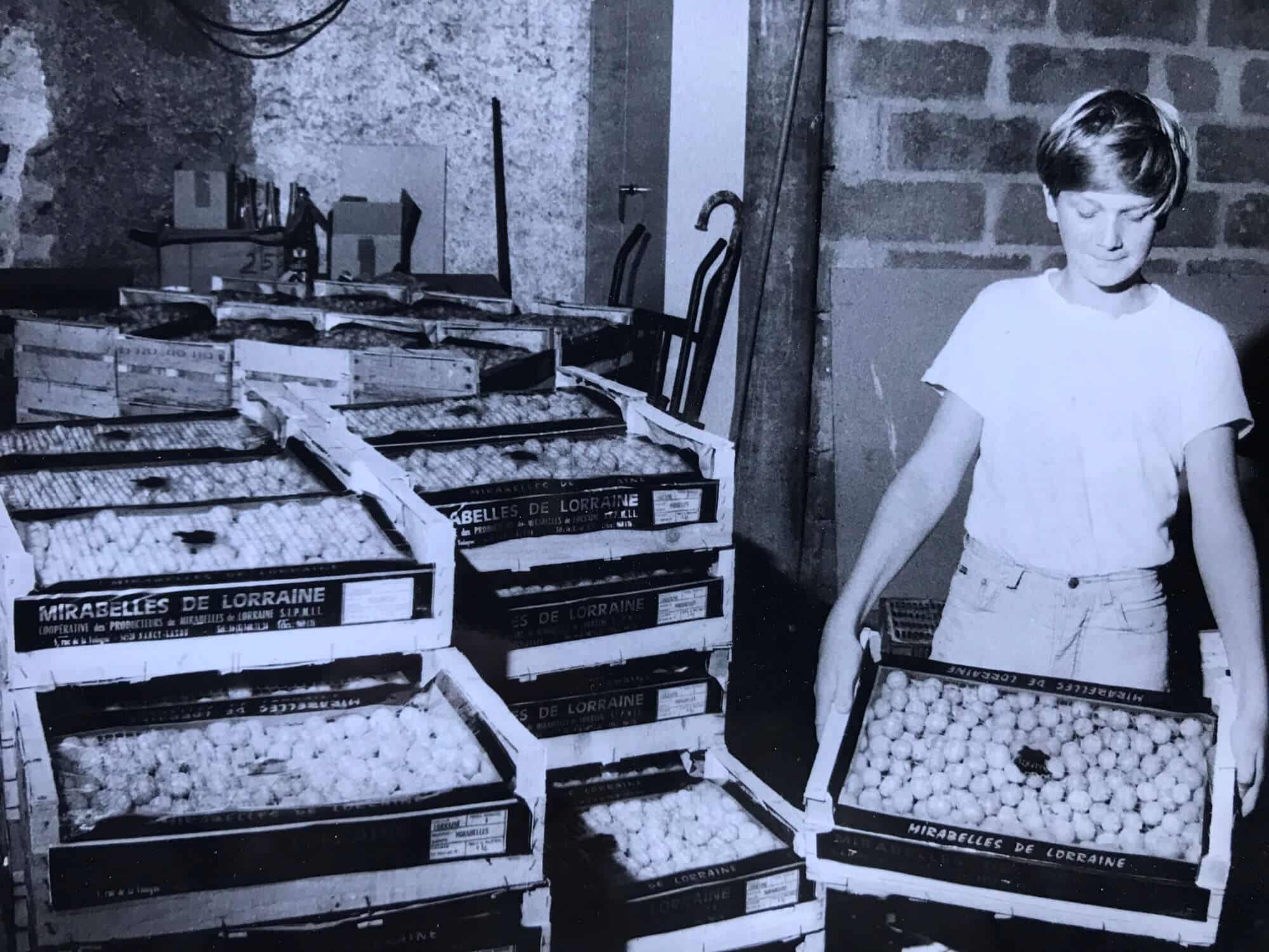 L’expédition des cagettes