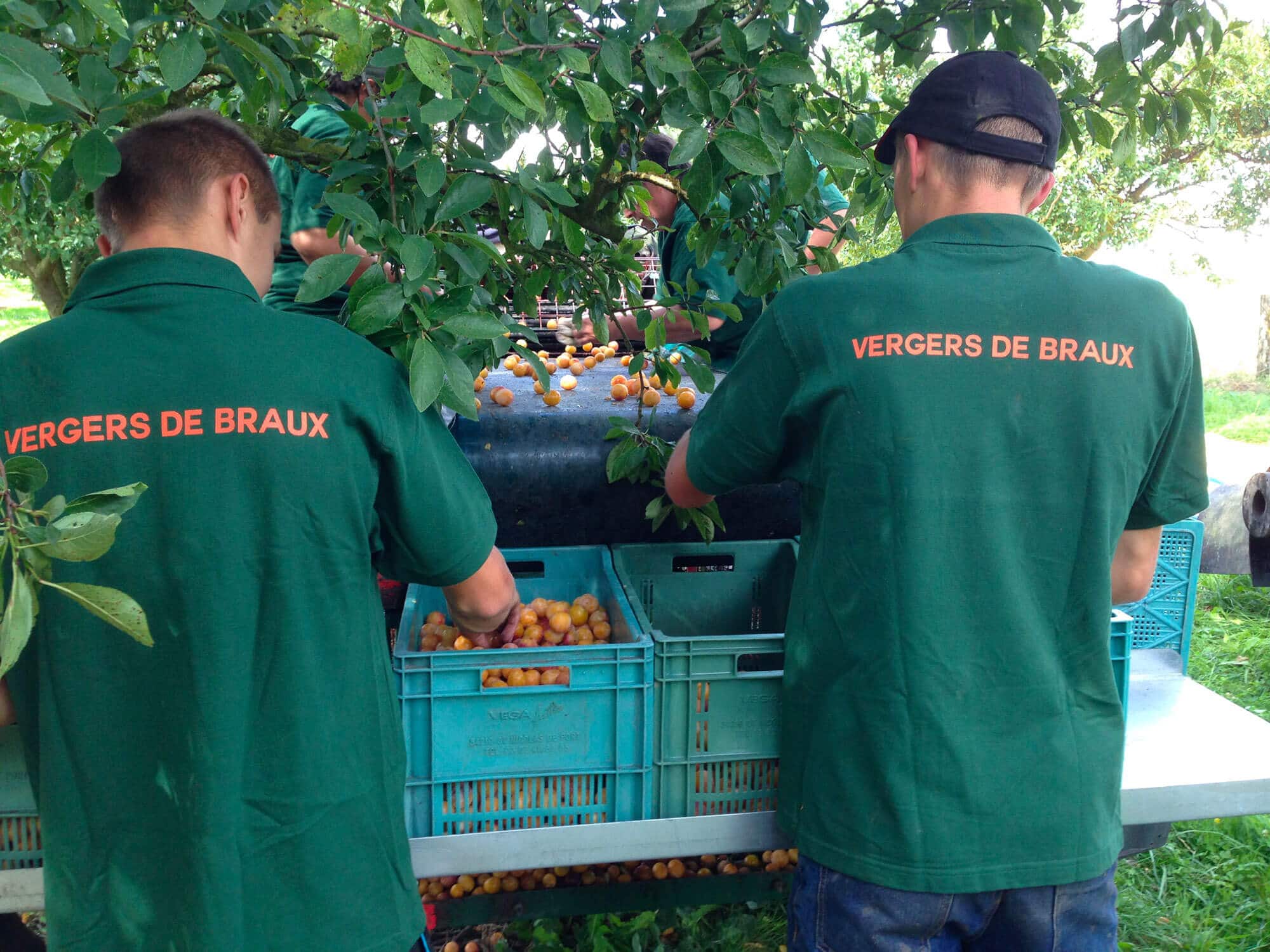 Les saisonniers du Domaine de Braux