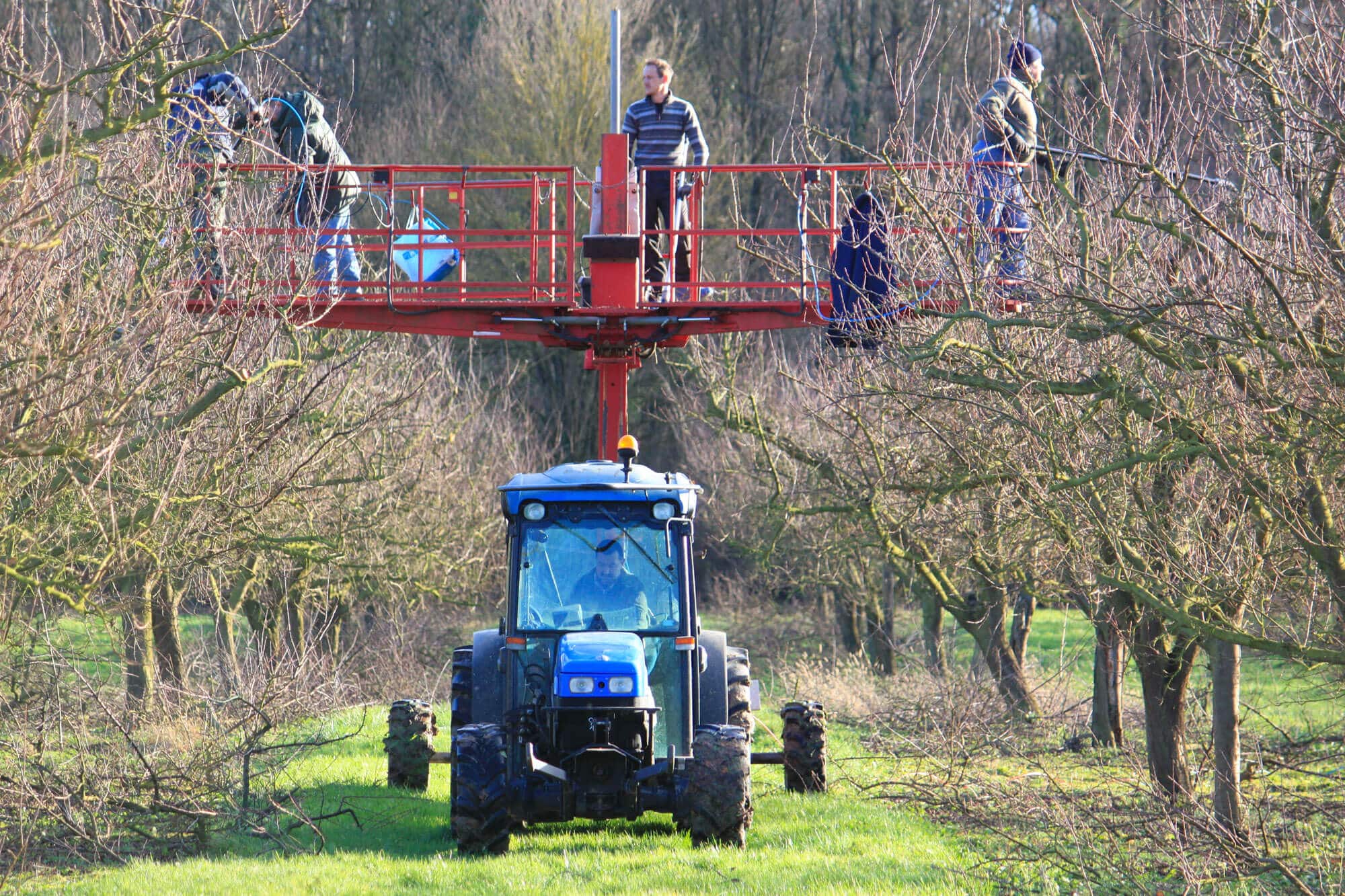 La taille en équipe à la nacelle