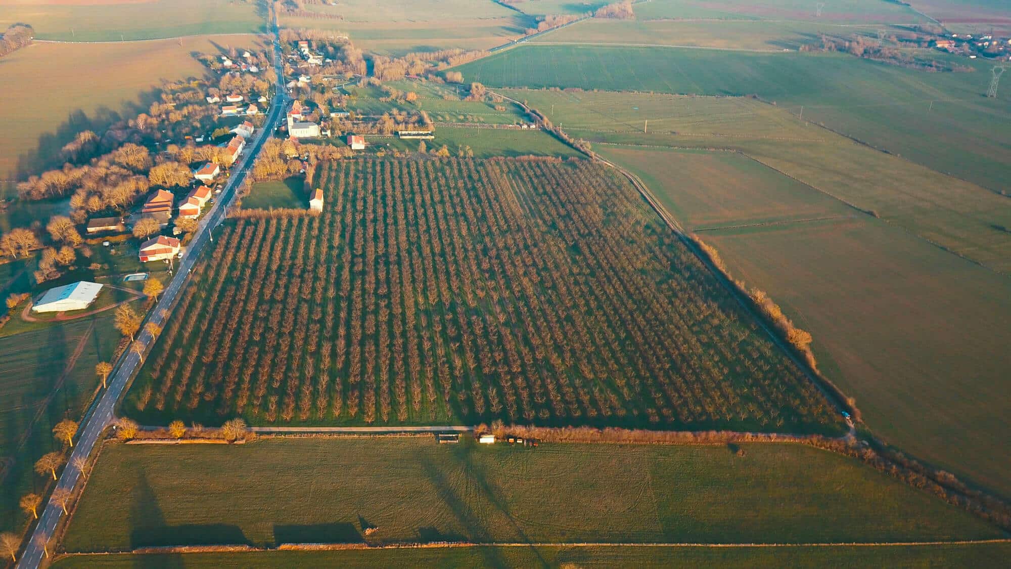 Les Vergers de Beaumont au soleil couchant